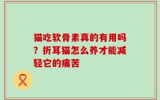 猫吃软骨素真的有用吗？折耳猫怎么养才能减轻它的痛苦