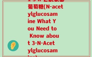 1 3-n-乙酰氨基葡萄糖(N-acetylglucosamine What You Need to Know about 3-N-Acetylglucosamine)