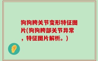 狗狗胯关节变形特征图片(狗狗胯部关节异常，特征图片解析。)