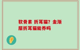 软骨素 折耳猫？金渐层折耳猫能养吗