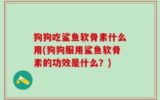 狗狗吃鲨鱼软骨素什么用(狗狗服用鲨鱼软骨素的功效是什么？)