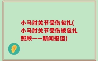 小马肘关节受伤包扎(小马肘关节受伤被包扎照顾——新闻报道)