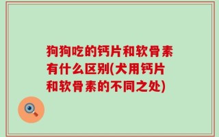 狗狗吃的钙片和软骨素有什么区别(犬用钙片和软骨素的不同之处)