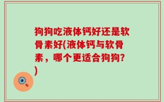 狗狗吃液体钙好还是软骨素好(液体钙与软骨素，哪个更适合狗狗？)