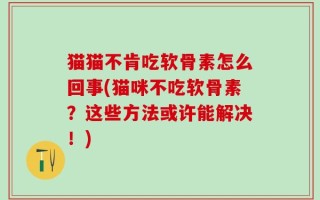 猫猫不肯吃软骨素怎么回事(猫咪不吃软骨素？这些方法或许能解决！)