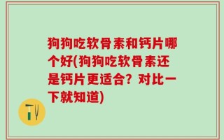 狗狗吃软骨素和钙片哪个好(狗狗吃软骨素还是钙片更适合？对比一下就知道)