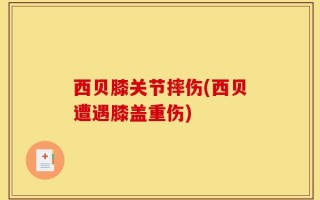西贝膝关节摔伤(西贝遭遇膝盖重伤)