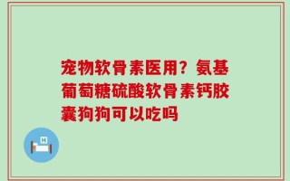 宠物软骨素医用？氨基葡萄糖硫酸软骨素钙胶囊狗狗可以吃吗