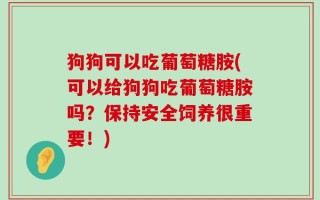 狗狗可以吃葡萄糖胺(可以给狗狗吃葡萄糖胺吗？保持安全饲养很重要！)