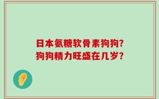 日本氨糖软骨素狗狗？狗狗精力旺盛在几岁？