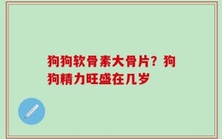 狗狗软骨素大骨片？狗狗精力旺盛在几岁