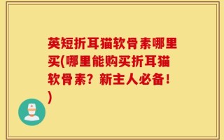 英短折耳猫软骨素哪里买(哪里能购买折耳猫软骨素？新主人必备！)