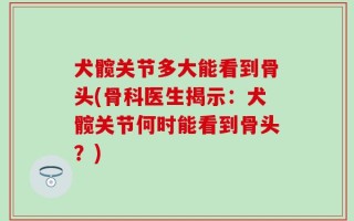 犬髋关节多大能看到骨头(骨科医生揭示：犬髋关节何时能看到骨头？)