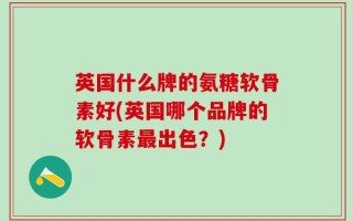 英国什么牌的氨糖软骨素好(英国哪个品牌的软骨素最出色？)