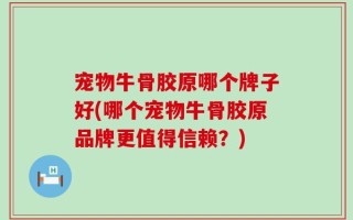 宠物牛骨胶原哪个牌子好(哪个宠物牛骨胶原品牌更值得信赖？)