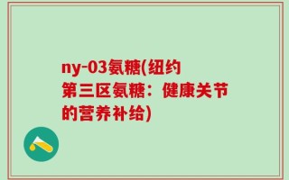 ny-03氨糖(纽约第三区氨糖：健康关节的营养补给)