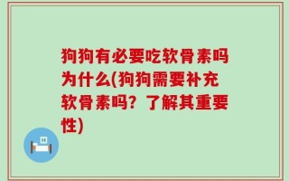 狗狗有必要吃软骨素吗为什么(狗狗需要补充软骨素吗？了解其重要性)
