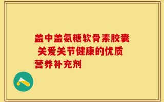 盖中盖氨糖软骨素胶囊 关爱关节健康的优质营养补充剂