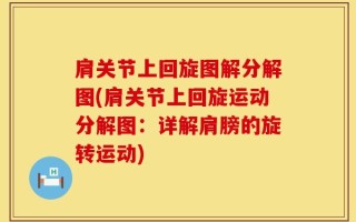 肩关节上回旋图解分解图(肩关节上回旋运动分解图：详解肩膀的旋转运动)