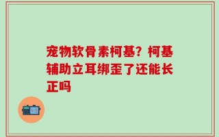 宠物软骨素柯基？柯基辅助立耳绑歪了还能长正吗