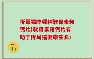 折耳猫吃哪种软骨素和钙片(软骨素和钙片有助于折耳猫健康生长)
