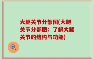 大腿关节分部图(大腿关节分部图：了解大腿关节的结构与功能)
