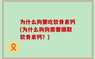 为什么狗要吃软骨素钙(为什么狗狗需要摄取软骨素钙？)