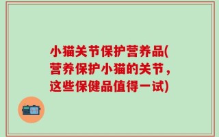 小猫关节保护营养品(营养保护小猫的关节，这些保健品值得一试)
