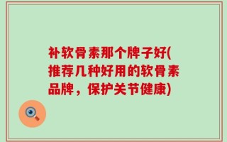 补软骨素那个牌子好(推荐几种好用的软骨素品牌，保护关节健康)