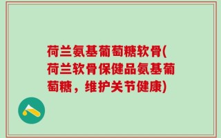 荷兰氨基葡萄糖软骨(荷兰软骨保健品氨基葡萄糖，维护关节健康)