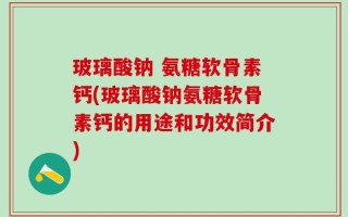 玻璃酸钠 氨糖软骨素钙(玻璃酸钠氨糖软骨素钙的用途和功效简介)
