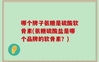 哪个牌子氨糖是硫酸软骨素(氨糖硫酸盐是哪个品牌的软骨素？)
