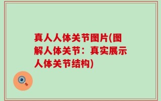 真人人体关节图片(图解人体关节：真实展示人体关节结构)