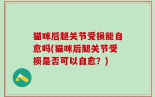 猫咪后腿关节受损能自愈吗(猫咪后腿关节受损是否可以自愈？)
