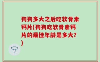狗狗多大之后吃软骨素钙片(狗狗吃软骨素钙片的最佳年龄是多大？)