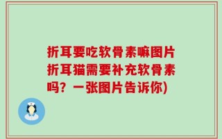 折耳要吃软骨素嘛图片折耳猫需要补充软骨素吗？一张图片告诉你)
