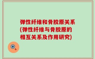 弹性纤维和骨胶原关系(弹性纤维与骨胶原的相互关系及作用研究)