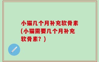 小猫几个月补充软骨素(小猫需要几个月补充软骨素？)