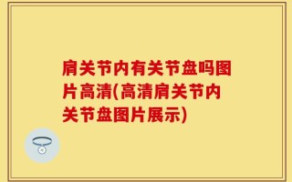 肩关节内有关节盘吗图片高清(高清肩关节内关节盘图片展示)