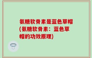 氨糖软骨素是蓝色草帽(氨糖软骨素：蓝色草帽的功效原理)