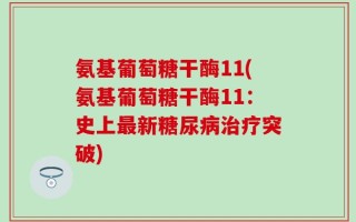 氨基葡萄糖干酶11(氨基葡萄糖干酶11：史上最新糖尿病治疗突破)