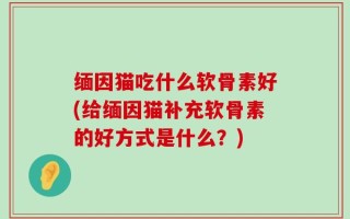 缅因猫吃什么软骨素好(给缅因猫补充软骨素的好方式是什么？)