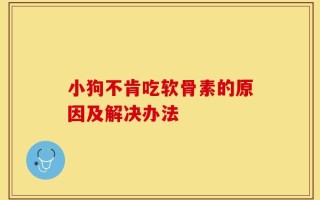 小狗不肯吃软骨素的原因及解决办法
