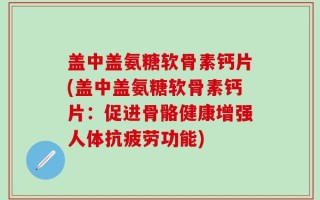 盖中盖氨糖软骨素钙片(盖中盖氨糖软骨素钙片：促进骨骼健康增强人体抗疲劳功能)