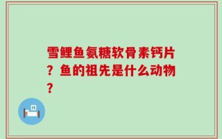 雪鲤鱼氨糖软骨素钙片？鱼的祖先是什么动物？