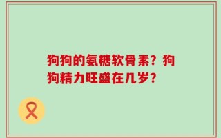 狗狗的氨糖软骨素？狗狗精力旺盛在几岁？