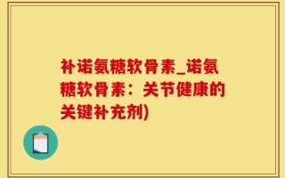 补诺氨糖软骨素_诺氨糖软骨素：关节健康的关键补充剂)