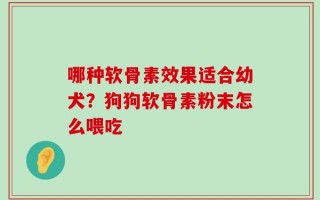 哪种软骨素效果适合幼犬？狗狗软骨素粉末怎么喂吃