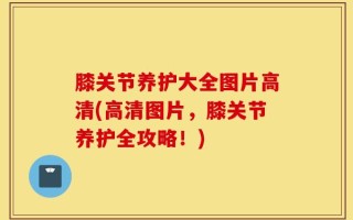膝关节养护大全图片高清(高清图片，膝关节养护全攻略！)