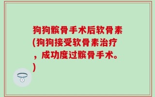 狗狗髌骨手术后软骨素(狗狗接受软骨素治疗，成功度过髌骨手术。)